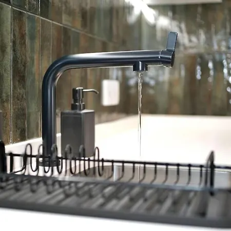 Sea Turtle - Albufeira