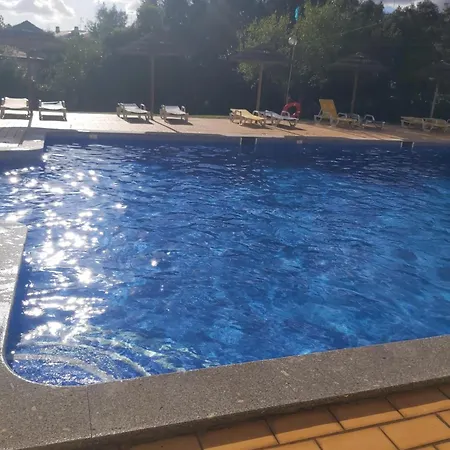 Sea Turtle - Албуфейра