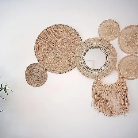 Appartement Sea Turtle - *