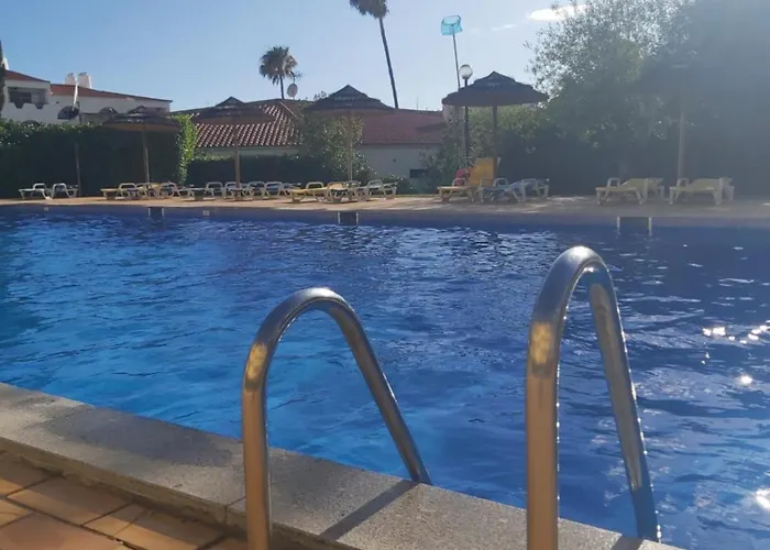 Apartment Sea Turtle - *