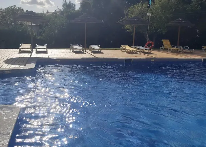 Sea Turtle - Apartment